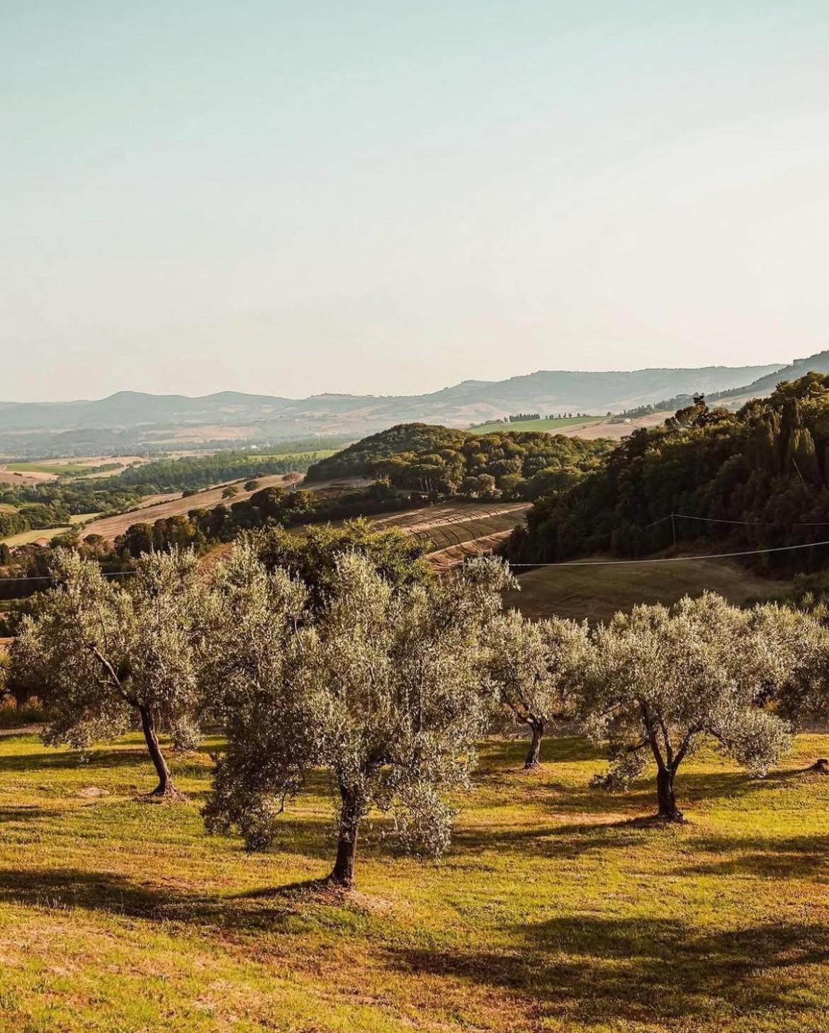 Tenuta Mocajo Guardistallo Εξωτερικό φωτογραφία